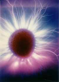 Kirlian photo