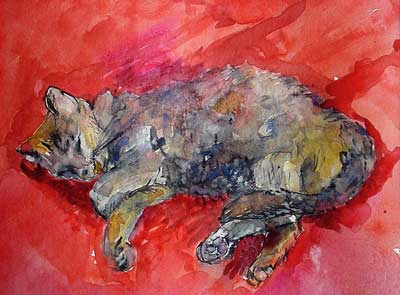 Studio companion - resting on red